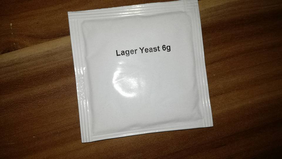 lager yeast.jpg