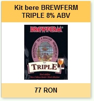 kit bere de casa BREWFERM TRIPLE