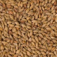 malt de orz MUNTONS Maris Otter® Whole Pale 25 kg