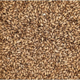 malt de orz Simpsons Finest Pale Maris Otter® 25 kg